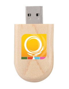 oval-wood-usb-open-1